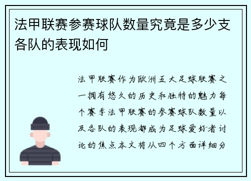 法甲联赛参赛球队数量究竟是多少支各队的表现如何